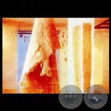 POEMAS VISUALES - Instalación de GUSTAVO BENÍTEZ